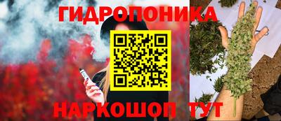 Альфа ПВП Малоярославец