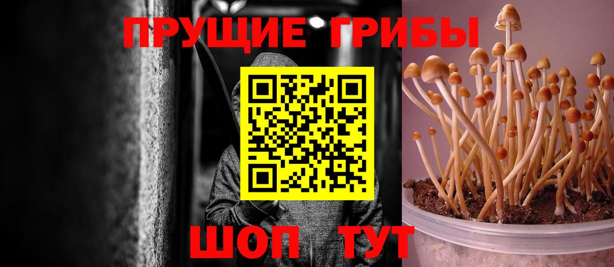 Псилоцибиновые грибы ЛСД Чапаевск