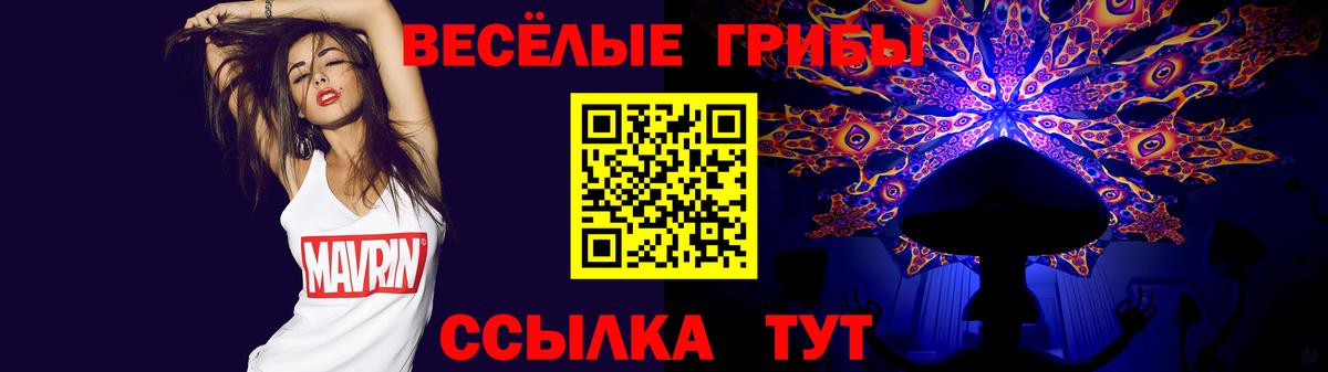 Псилоцибиновые грибы мицелий  купить   Чапаевск  Вход с VPN 